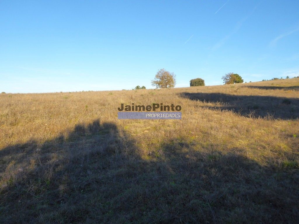 Property photo 2 of 3