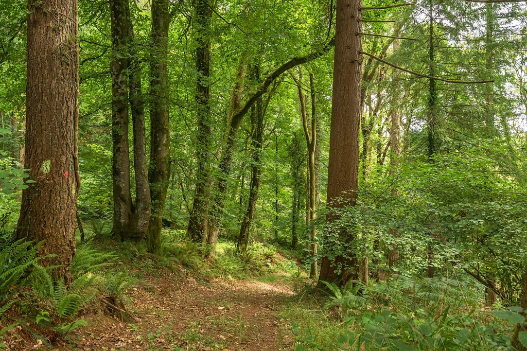 Property photo 1 of 8 Heathcote Wood