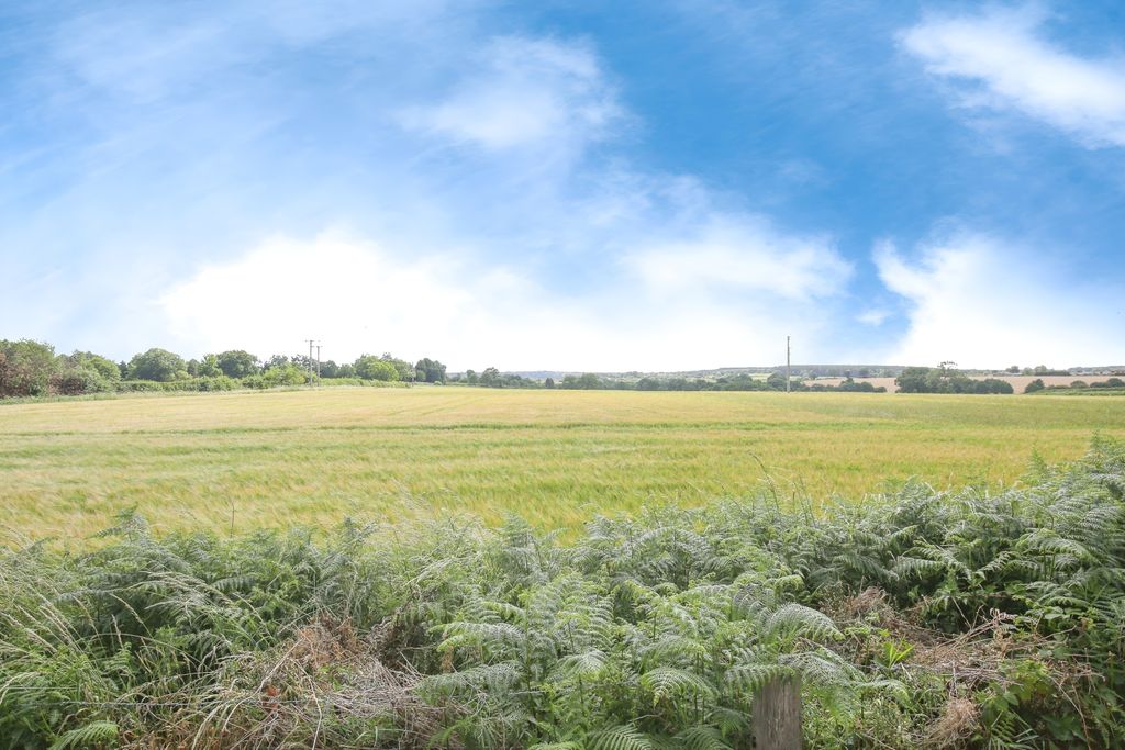 Property photo 2 of 17 44dc5c21-Mw-6741