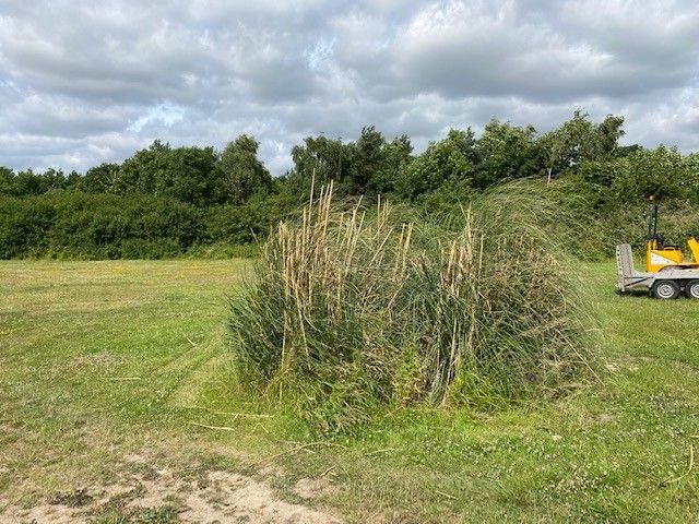 Property photo 2 of 4