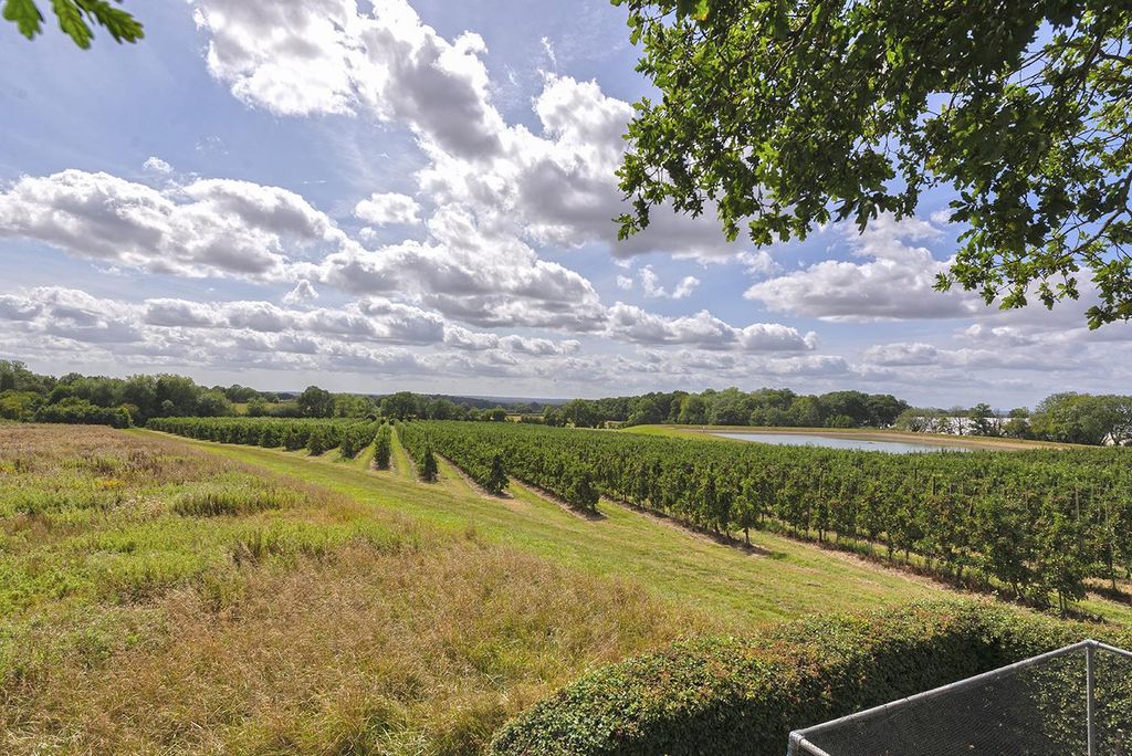 Unique Family Residence, Semi-Rural Ulcombe ME17, 6 bed detached house ...
