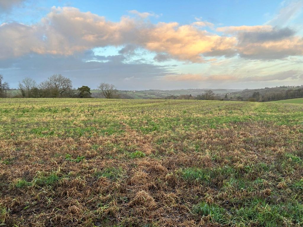 Property photo 1 of 8 Picture No. 19