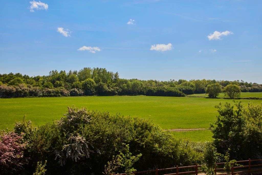 Property photo 2 of 15 25222055