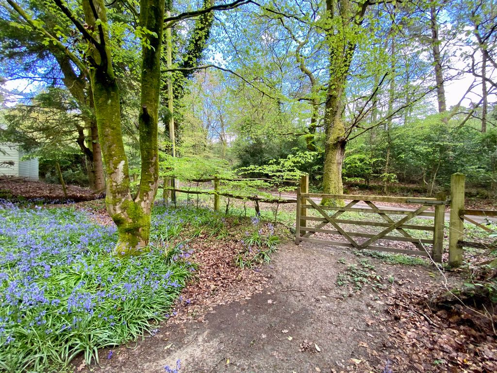 Property photo 2 of 23