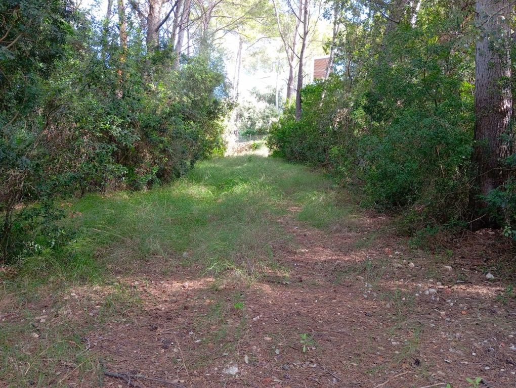 Property photo 3 of 9 Plot (6)