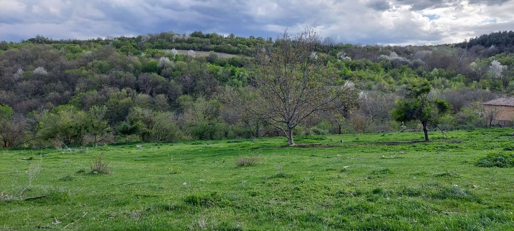 Property photo 1 of 6 A Green Rural Plot Featuring Scattered Trees And Forested Hills In The Background Under A Cloudy Sky.