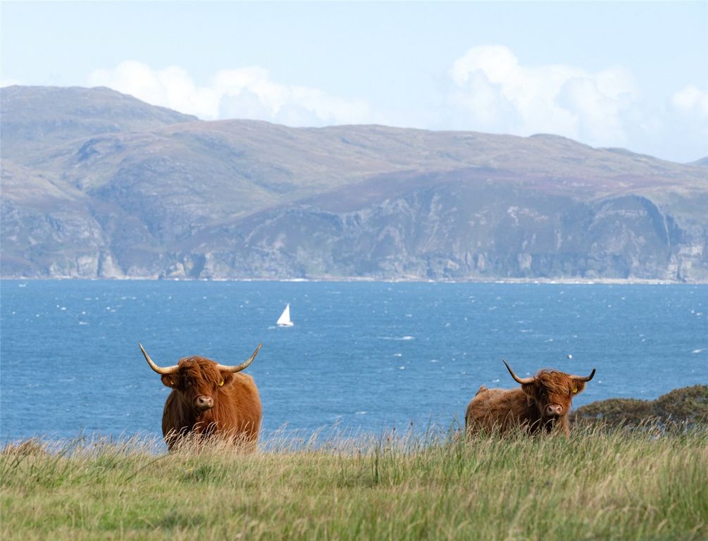 Additional image 26 of Land for saleGlengorm, Tobermory, Isle Of Mull, Argyll And Bute PA75
