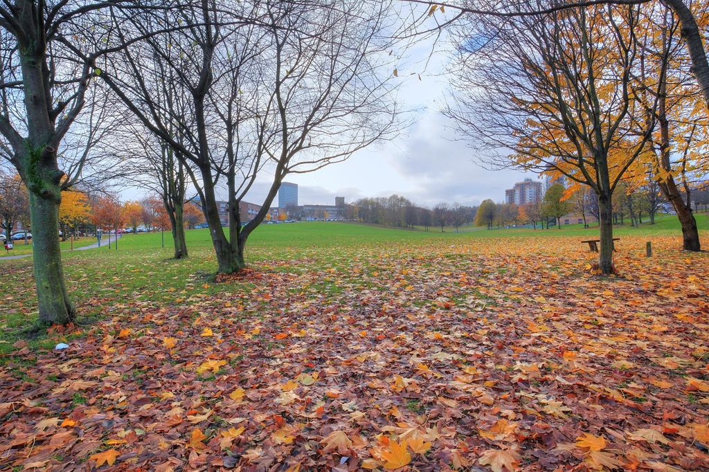 Property photo 3 of 16 Img_0455_6_7_Tonemapped Copy.Jpg