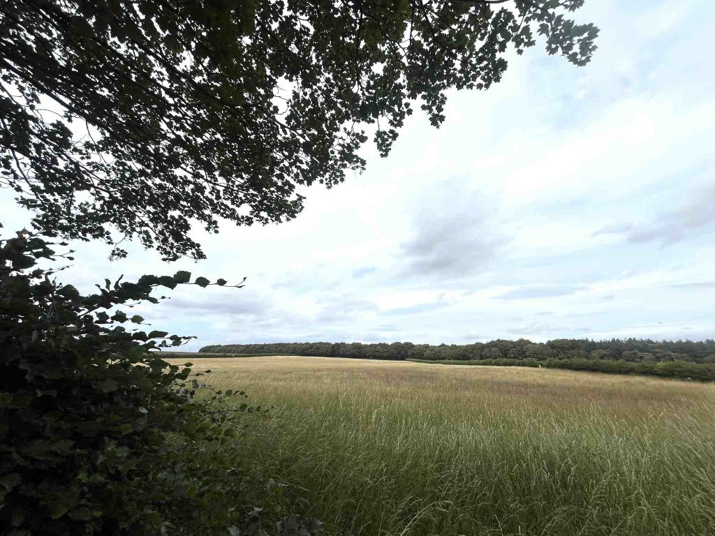 Property photo 3 of 3