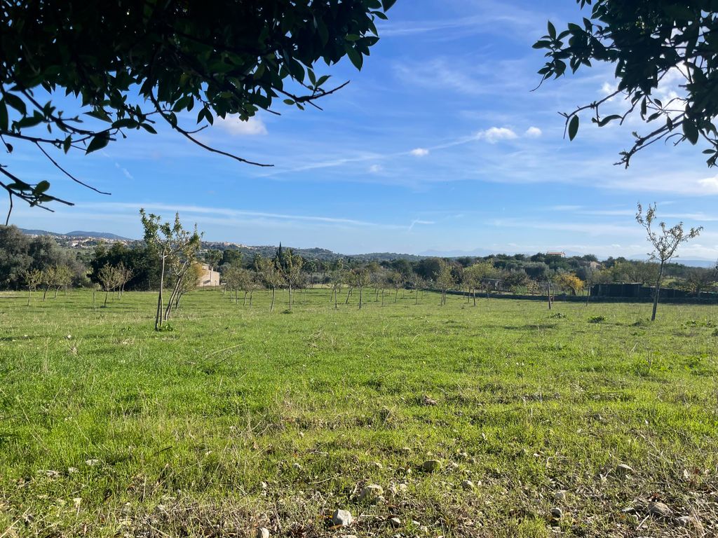Property photo 2 of 6 2 82897 Fantastic Building Plot With Licence View Towards Campanet.Jpg