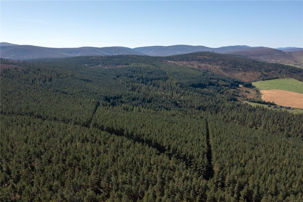 Property photo 2 of 13 Picture No. 11