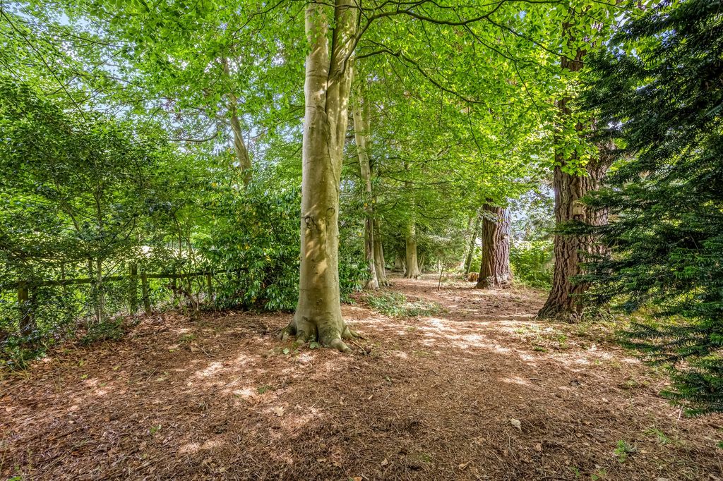 Property photo 3 of 19
