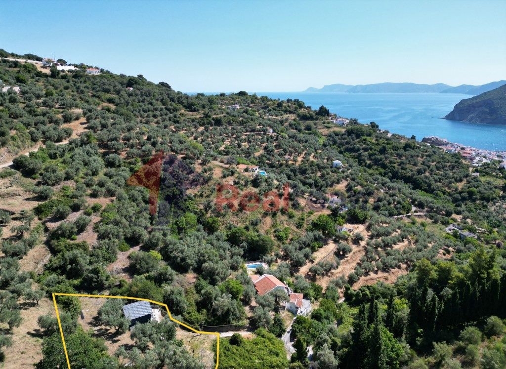 Property photo 3 of 25