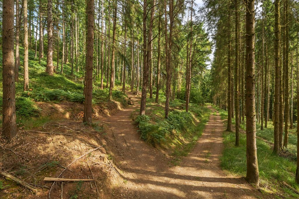 Property photo 1 of 11 Marley Wood