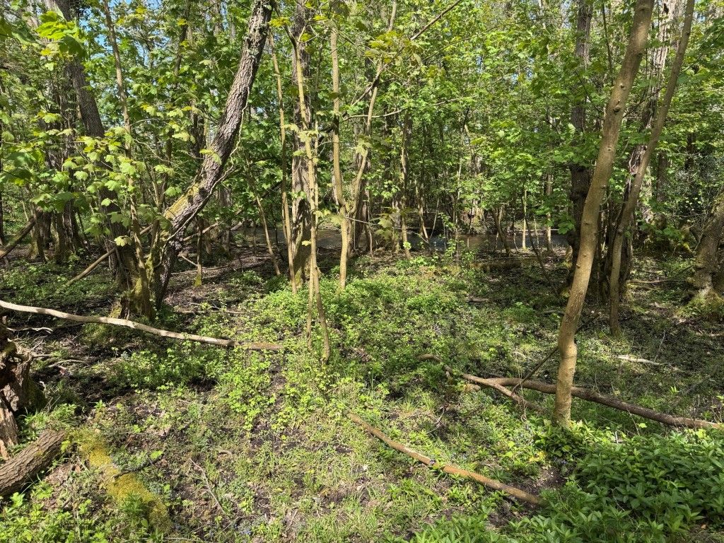 Property photo 3 of 4 Looking Towards The River Dun