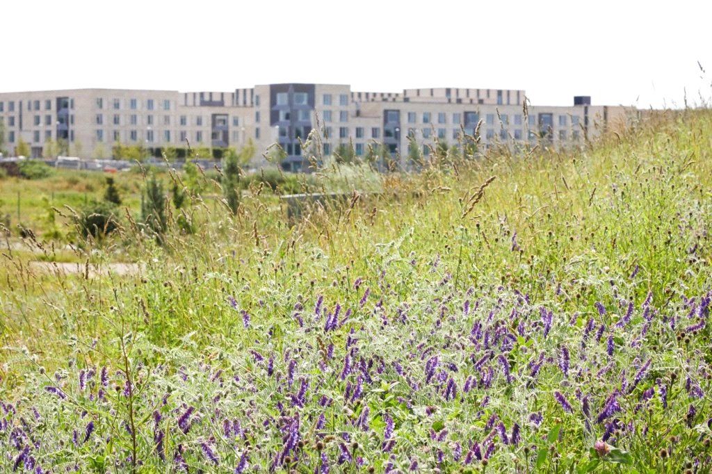 Additional image 19 of 2 bed flat to rentThe Ash Building, Rudduck Way, Cambridge CB3