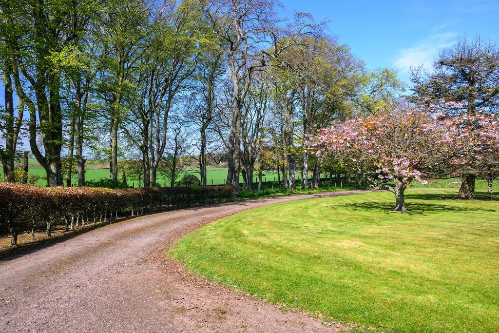 Additional image 5 of 7 bed country house for saleMontrose, Angus DD10