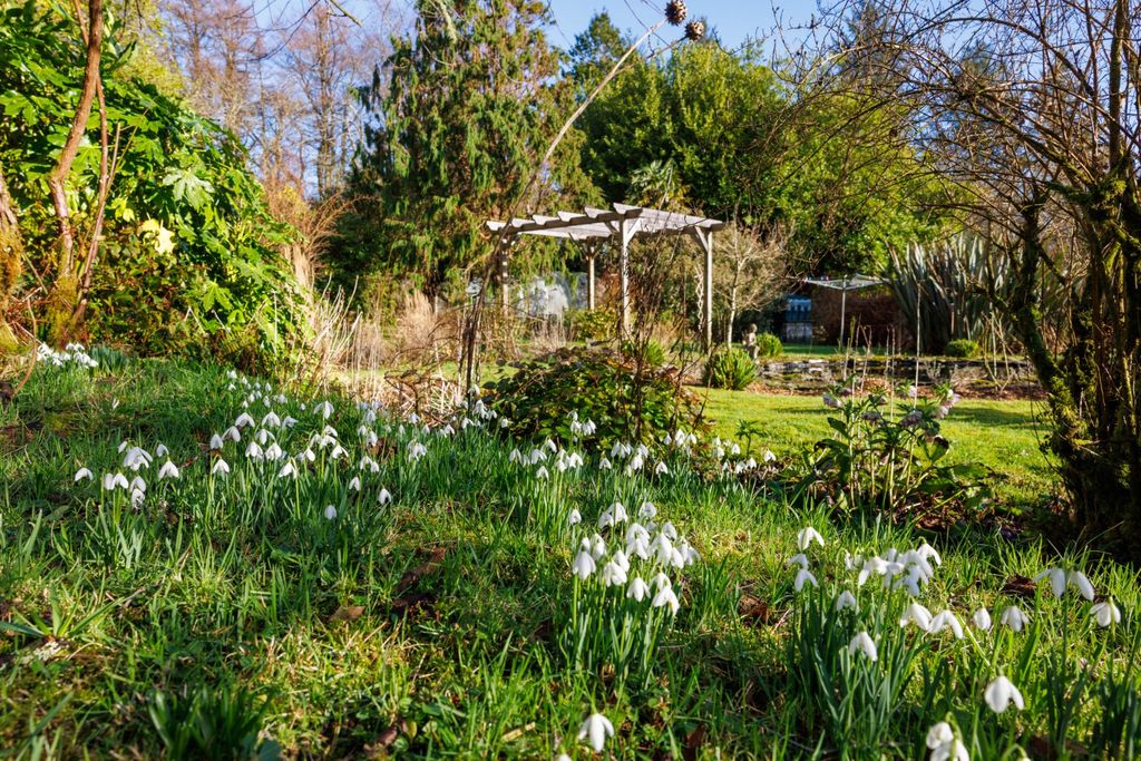 Additional image 19 of 4 bed bungalow for saleKildonan, Saddell, Campbeltown, Argyll And Bute PA28