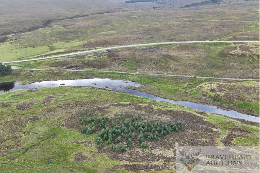 Property photo 1 of 13 Photo 8