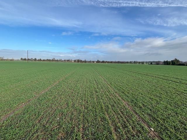 Property photo 1 of 3 Hylands Field.Jpeg