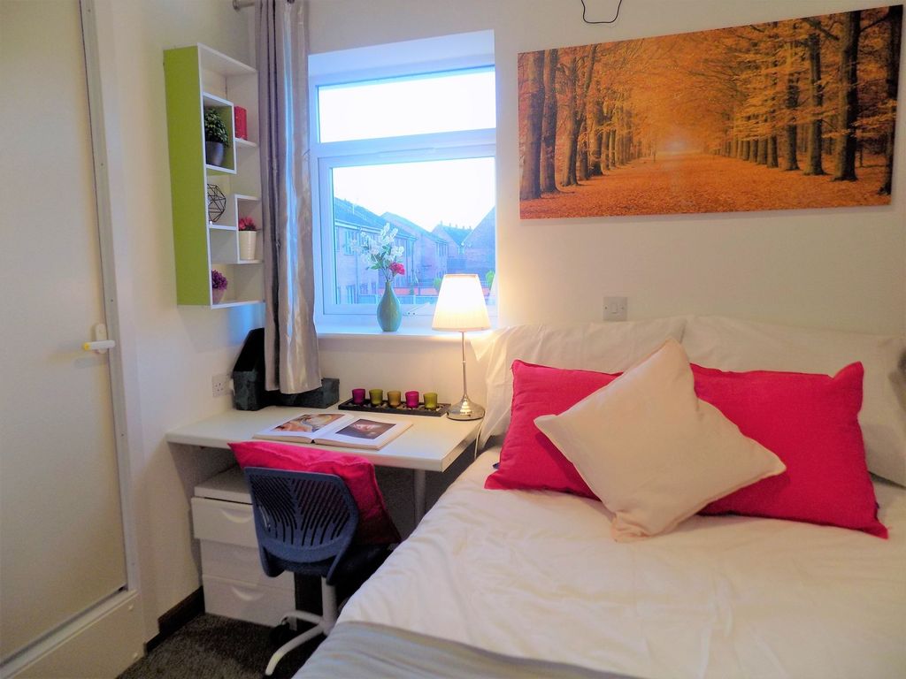 Property photo 3 of 8 Bright, Neatly Arranged Single Bedroom With A Comf...