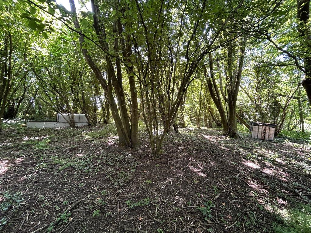 Property photo 3 of 6 Picture No. 02