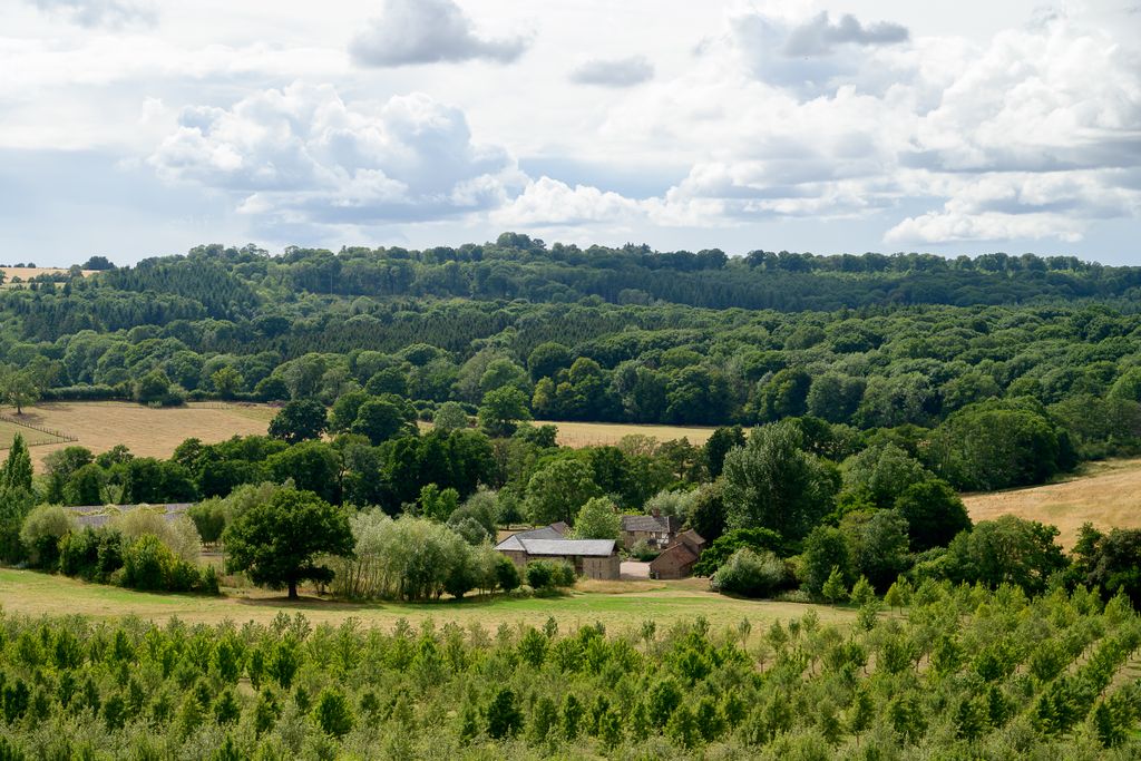 Property photo 3 of 16 The Granary, Woodhouse Farm-28