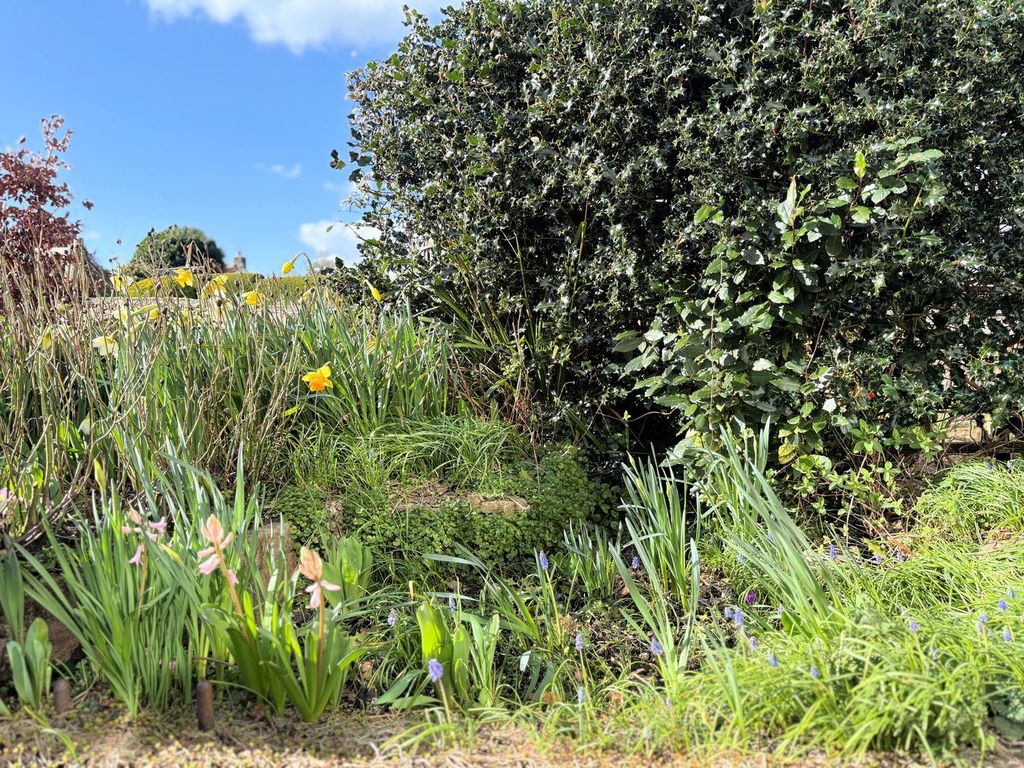 Property photo 3 of 16
