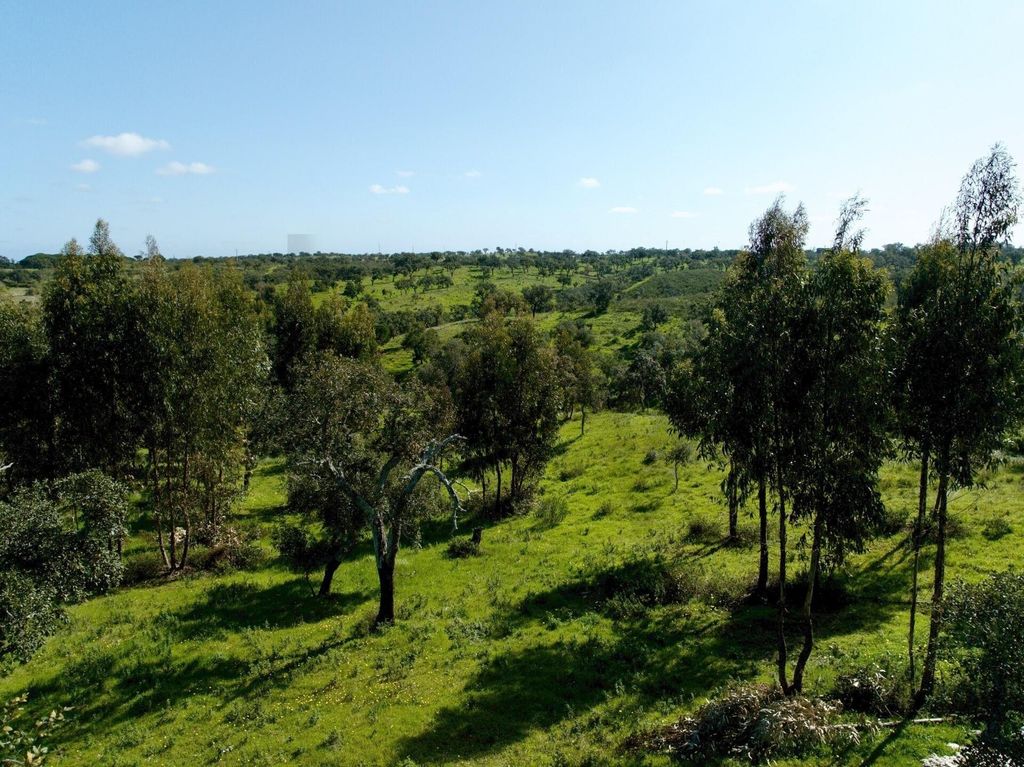 Property photo 1 of 25 Rustic Land With 9.3 Hectares In The Serra De Grândola – Mosqueirões