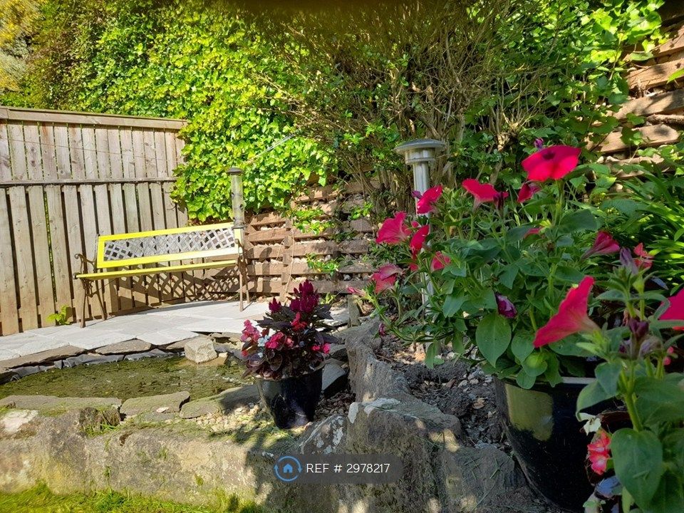 Property photo 3 of 5 Pond