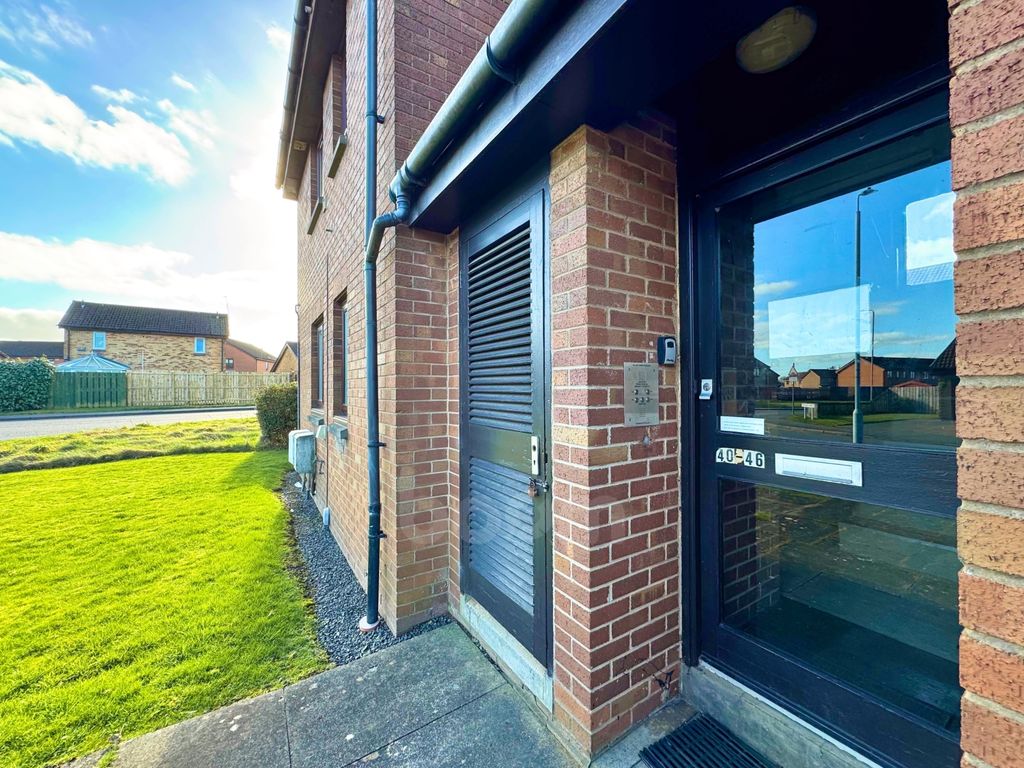 Property photo 2 of 16 Campus Crescent External Door