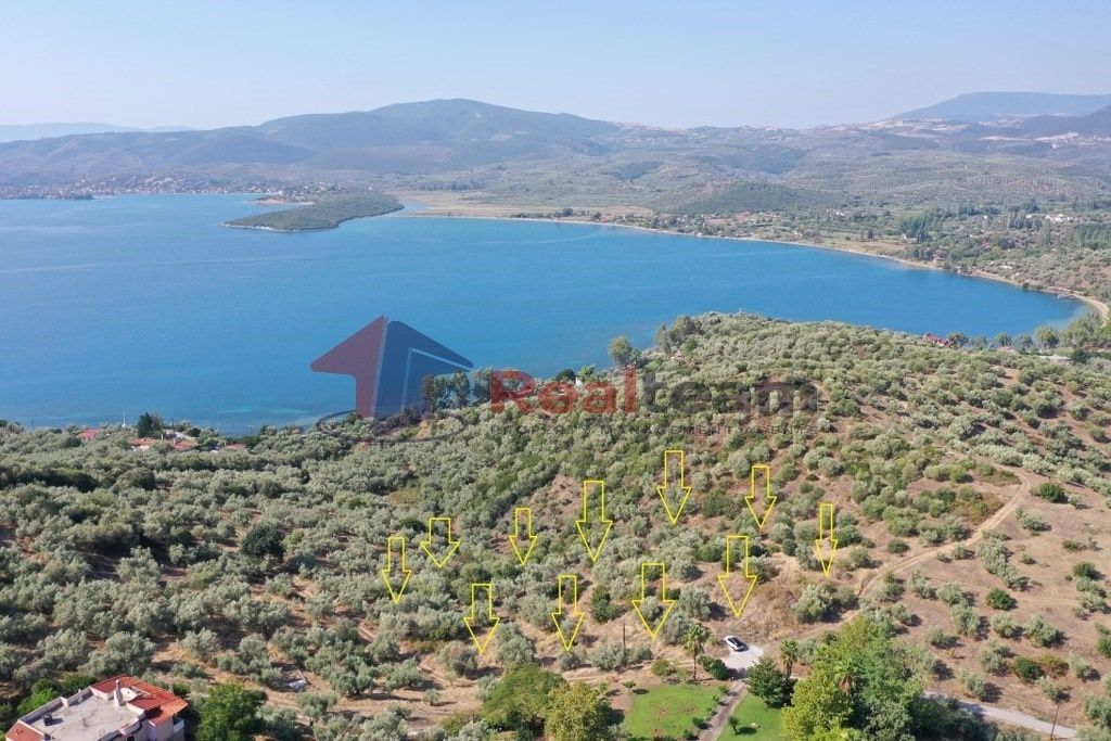 Property photo 3 of 25