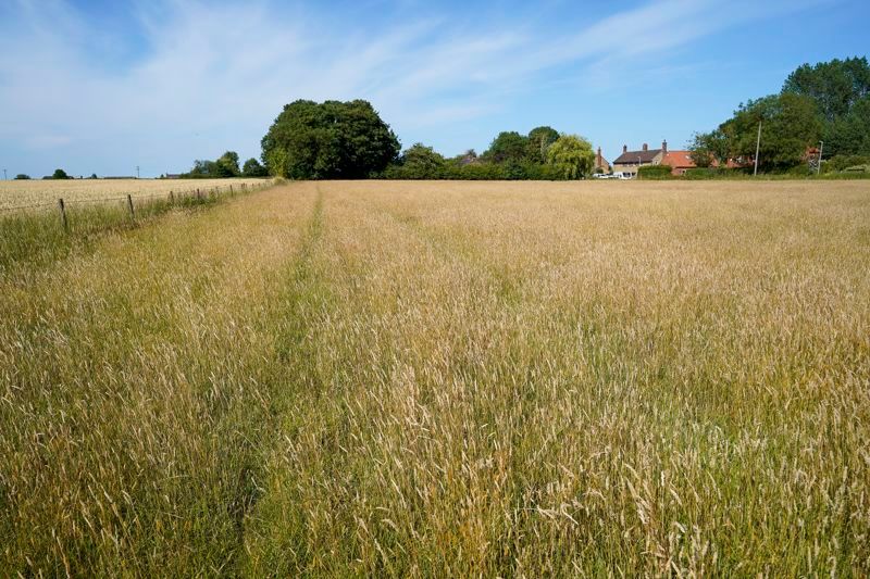 Property photo 3 of 5 View 2