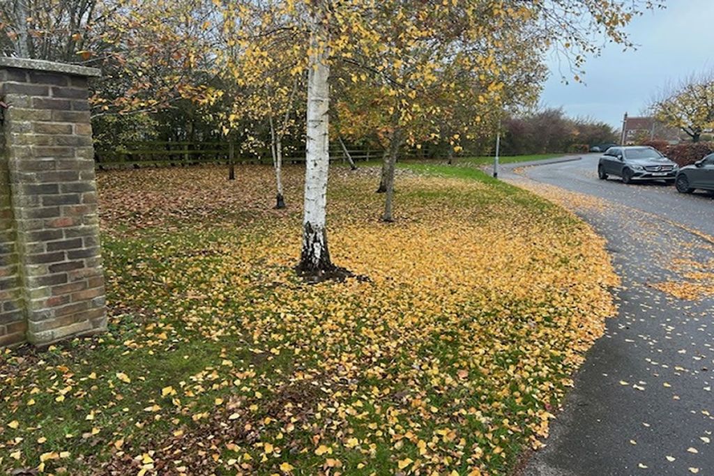 Property photo 1 of 6