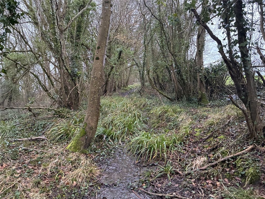 Property photo 3 of 13 Picture No. 02