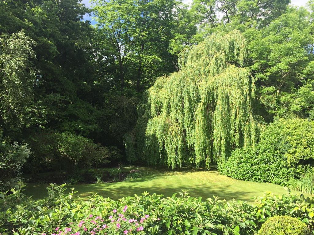 Property photo 2 of 18 Summer Garden.Jpg