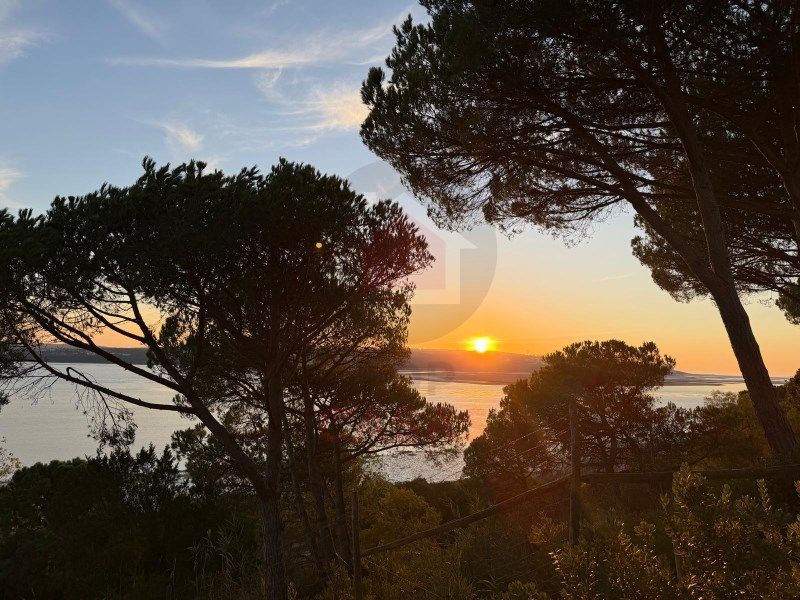 Property photo 1 of 50