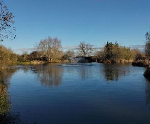 Property photo 1 of 10 Carp.Jpg