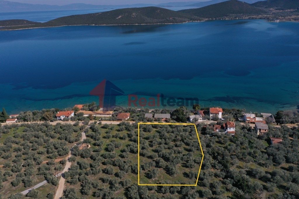 Property photo 3 of 21