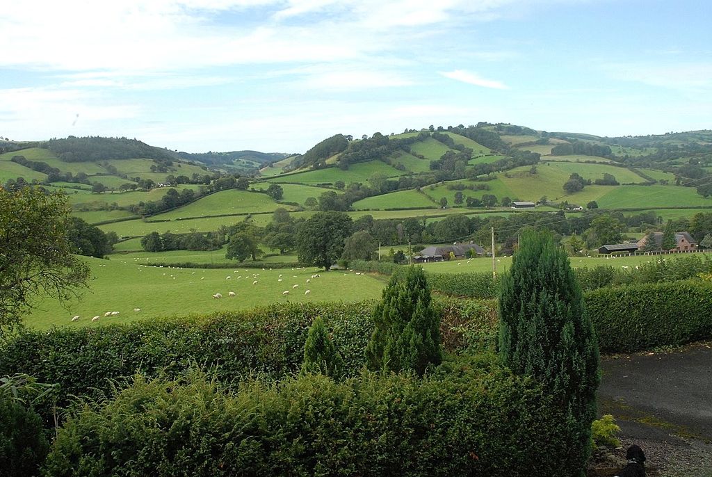 Additional image 34 of 4 bed detached house for saleLlanfyllin, Powys SY22