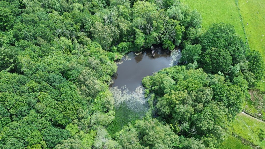 Property photo 3 of 6