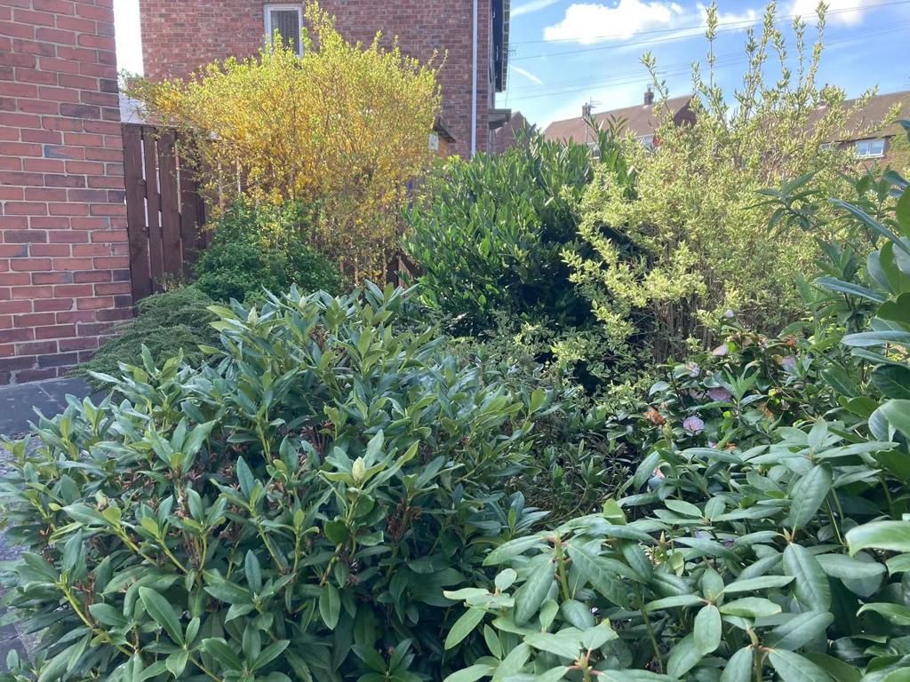 Property photo 3 of 14