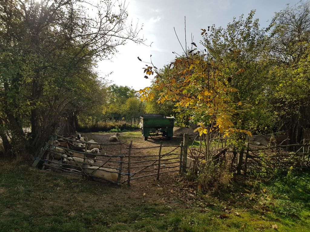 Property photo 1 of 10 A Fenced Outdoor Space Featuring Sheep Resting Beneath Trees And A Green Trailer Parked At The Rear, Surrounded By Autumn Foliage.