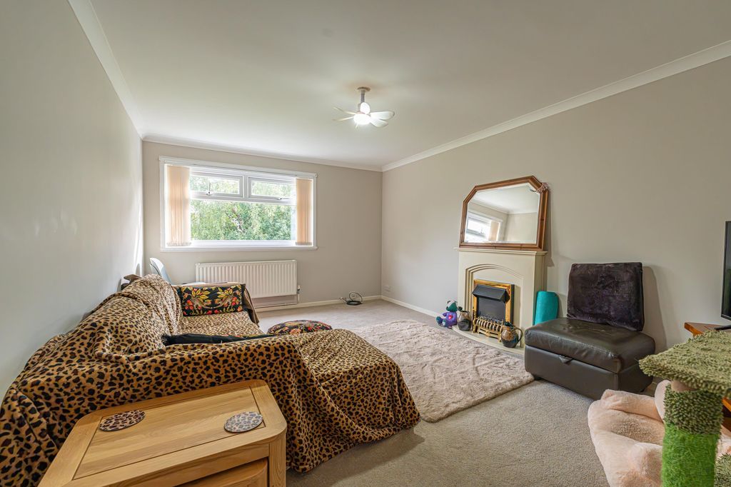 Property photo 3 of 21