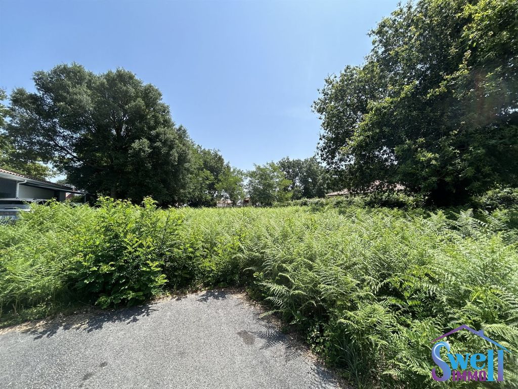 Property photo 3 of 4