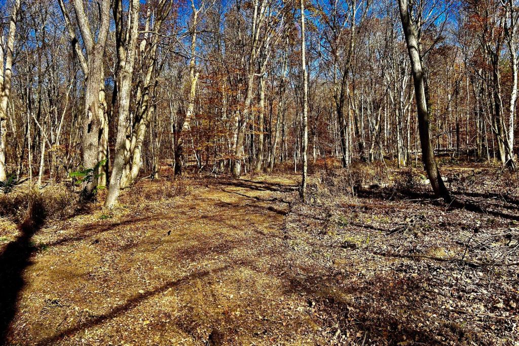 Property photo 3 of 3 <Alttext/>