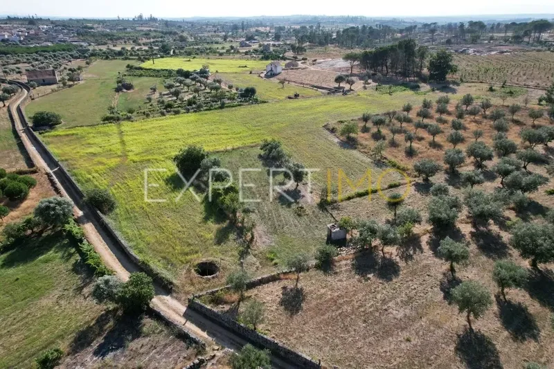 Property photo 3 of 24 Img 2