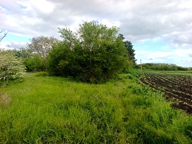 Property photo 2 of 3