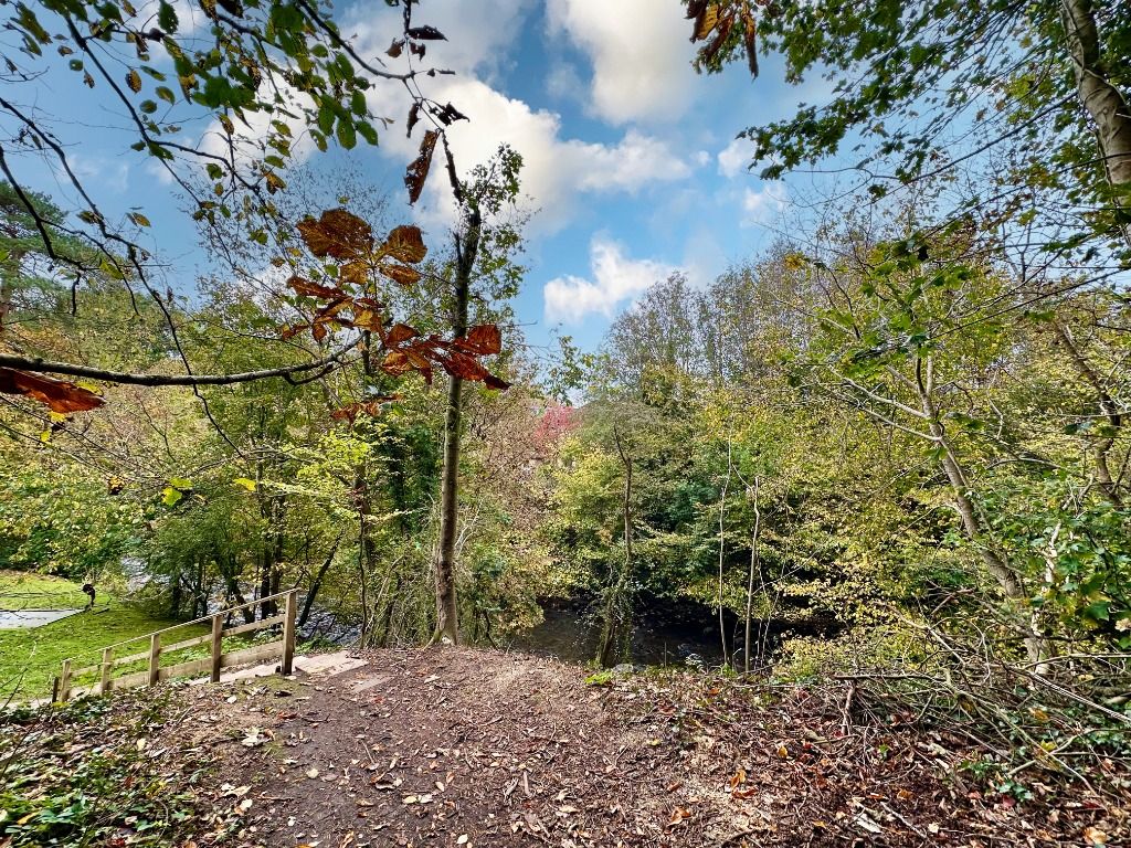 Additional image 19 of 3 bed flat to rentBankholm Place, Busby, Glasgow G76