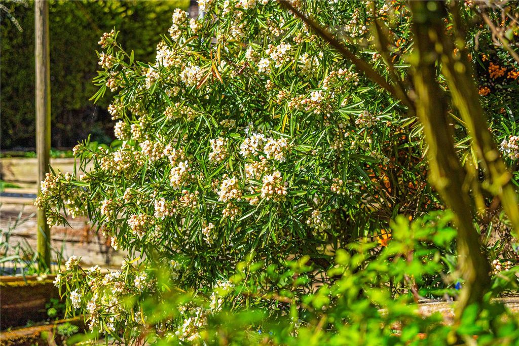 Property photo 2 of 34 Picture No. 26